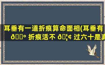 耳垂有一道折痕算命面相(耳垂有 🐺 折痕活不 🦢 过六十是真的吗)